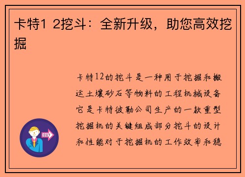 卡特1 2挖斗：全新升级，助您高效挖掘