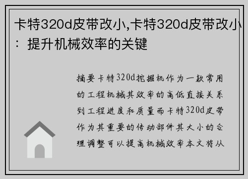 卡特320d皮带改小,卡特320d皮带改小：提升机械效率的关键